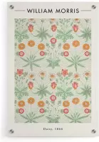 Walljar - William Morris - Daisy - Muurdecoratie - Plexiglas schilderij