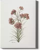 Walljar - Dianthus - Muurdecoratie - Poster