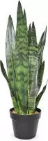 Sansevieria kunstplant 72 cm groen