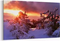 Schilderij - Bevroren bomen — 90x60 cm