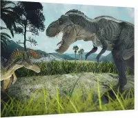 Dinosaurus T-Rex battlefield duo - Foto op Plexiglas - 60 x 40 cm