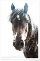 JUNIQE - Poster Horse -30x45 /Bruin & Ivoor