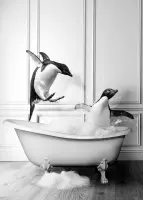Luxe Wanddecoratie - Fotokunst Tub Collection 'Penguin'- Hoogste kwaliteit Plexiglas - Blind Aluminium Ophangsysteem - 100 x 150 - Akoestisch en UV Werend - inclusief verzending  -