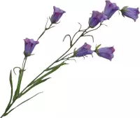 Silk-ka Kunstbloem-Zijden Bloem-Campanula Tak Zijde Lavendel-Paars-Blauw 79 cm Per 2 stuks