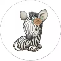 Muurcirkel kids zebra meisje 20 cm / Forex