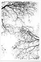 JUNIQE - Poster Black Branches 2 -40x60 /Wit & Zwart