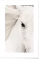 JUNIQE - Poster White Horse -13x18 /Grijs & Wit