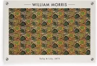 Walljar - William Morris - Tulip and Lily - Muurdecoratie - Plexiglas schilderij