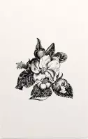 Bosrank zwart-wit (apple bossom) - Foto op Forex - 60 x 90 cm