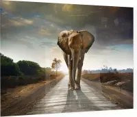 Olifant op weg - Foto op Plexiglas - 90 x 60 cm