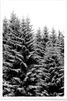 JUNIQE - Poster Besneeuwde kerstbomen -40x60 /Grijs & Wit