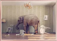 Poster Met Metaal Rose Lijst - Kalmte-olifanten Poster