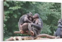 Schilderij - Chillende apen — 100x70 cm