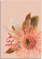 DesignClaud Australische bloemen poster - Bloemstillevens - Kleurrijk A2 + Fotolijst wit