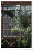 JUNIQE - Poster The Tropical Glasshouse -30x45 /Groen