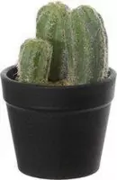 Kunstplant - Cactus - In koperkleurig zinken emmertje met hengsel en houten handvat - In cadeauverpakking met gekleurd lint