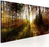 Schilderijen Op Canvas - Schilderij - Beautiful Forest 135x45 - Artgeist Schilderij