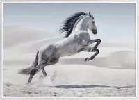 Poster Met Metaal Zilveren Lijst - Galopperende witte Pony Poster