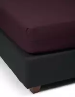 ESSENZA Premium Percale Hoeslaken Burgundy - 140x200 cm