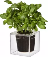 Boskke Cube large - Kunststof bloempot - Transparant