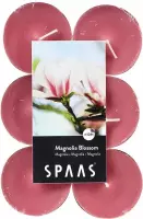 SPAAS 12 Maxi Theelichten Geur, ± 10 uur - Magnolia Blossom - magnolia bloem