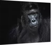 Silverback gorilla op zwarte achtergrond - Foto op Plexiglas - 60 x 40 cm