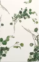 Bladpatroon 4 - Foto op Forex - 60 x 90 cm