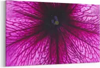 Schilderij - Bloem met prachtige bloemblaadjes — 100x70 cm