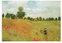 Claude Monet - Papaveri Kunstdruk 70x50cm
