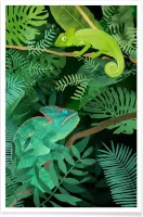 JUNIQE - Poster Chameleons -20x30 /Groen
