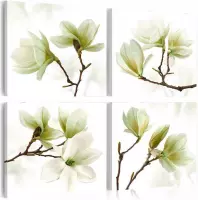 Schilderijen Op Canvas - Schilderij - Admiration of Magnolia 40x40 - Artgeist Schilderij