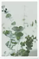 JUNIQE - Poster Eucalyptus Green 2 -30x45 /Groen & Wit