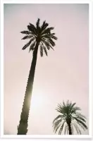 JUNIQE - Poster Palm Trees -30x45 /Roze