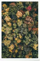 JUNIQE - Poster Herfstbomen - luchtfotografie -60x90 /Geel & Groen