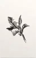 Ilex Opaca zwart-wit (Holly Berries) - Foto op Forex - 60 x 90 cm
