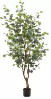 kunstplant Eucalypthus 140 cm