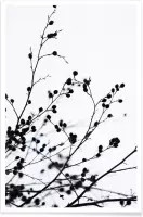 JUNIQE - Poster Winter Silhouettes 1 -40x60 /Wit & Zwart