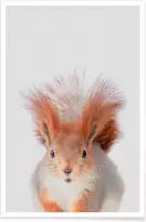 JUNIQE - Poster Red Squirrel -60x90 /Grijs & Oranje