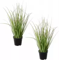 Set van 2x stuks groene grasplant kunstplanten in zwarte kunststof pot 38 cm - Pennisetum - Woondecoratie