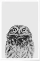 JUNIQE - Poster Owl Classic -20x30 /Wit & Zwart