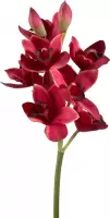 Viv! Home Luxuries Orchidee Cymbidium - zijden bloem - donker rood - 62cm - topkwaliteit
