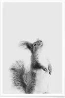 JUNIQE - Poster Red Squirrel III -40x60 /Grijs