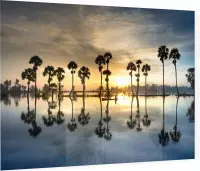 Zon komt op achter de palmen - Foto op Plexiglas - 90 x 60 cm