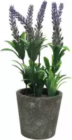 Bellatio flowers & plants Kunstplant - lavendel - plastic pot - 27 cm