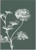 DesignClaud Vintage bloem blad poster - Groen - Puur Natuur Botanische poster A2 + Fotolijst zwart