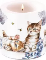 Kaars Ambiente cats and bees