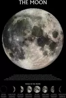 Pyramid The Moon Phases  Poster - 61x91,5cm