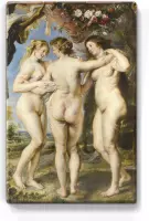 3 Gratien - Peter Paul Rubens - 19,5 x 30 cm - Niet van echt te onderscheiden houten schilderijtje - Mooier dan een schilderij op canvas - Laqueprint.