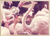 Poster Met Metaal Gouden Lijst - Hart Flamingo Poster