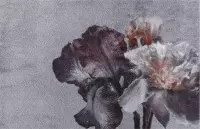 MD Entree - Schoonloopmat - Soft&Deco - Wild Flower - 67 x 100 cm